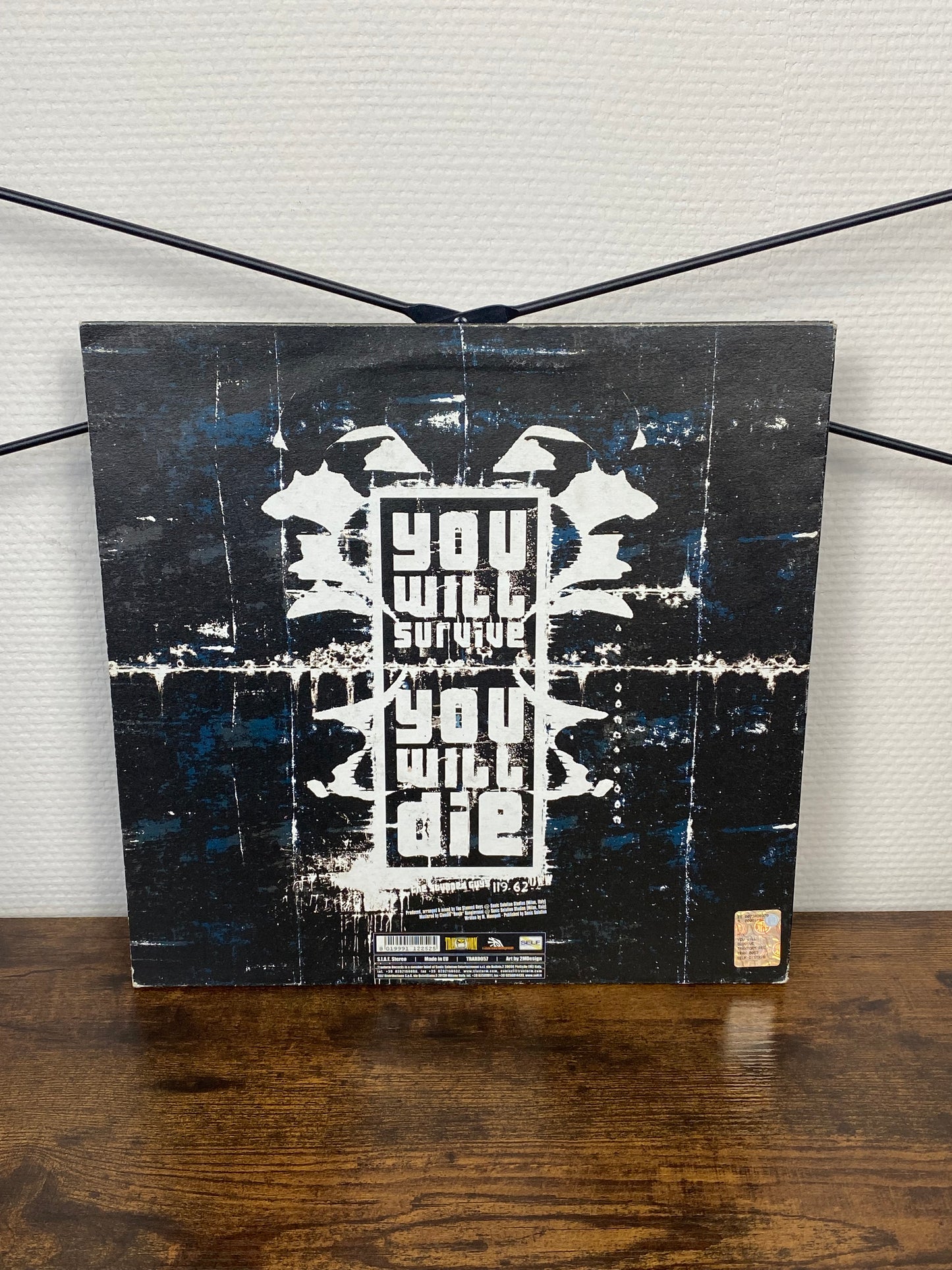 (2005) The Stunned Guys – You Will Survive (Vinyl)