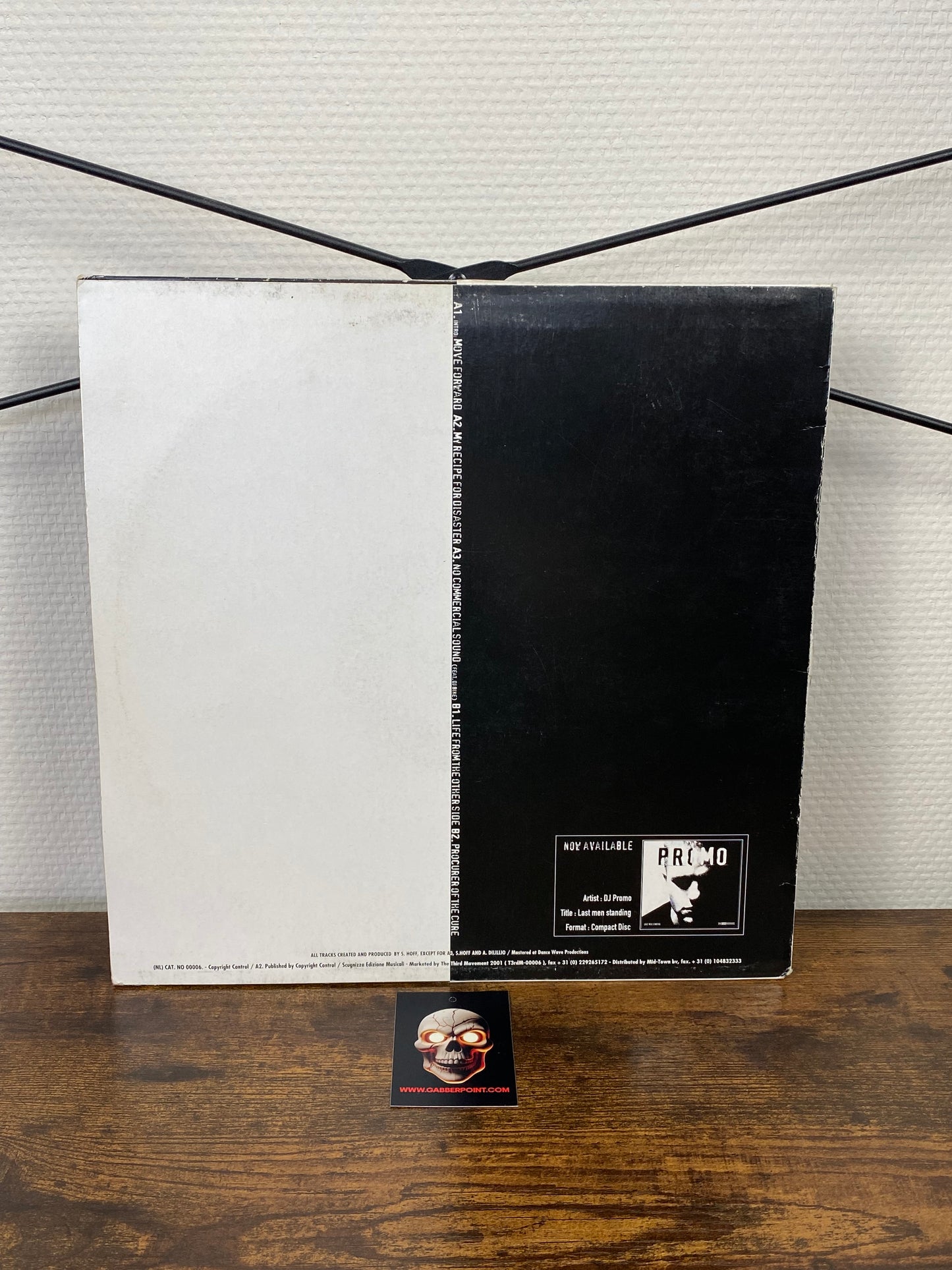 (008) - Promo – My Recipe For Disaster (VINYL)