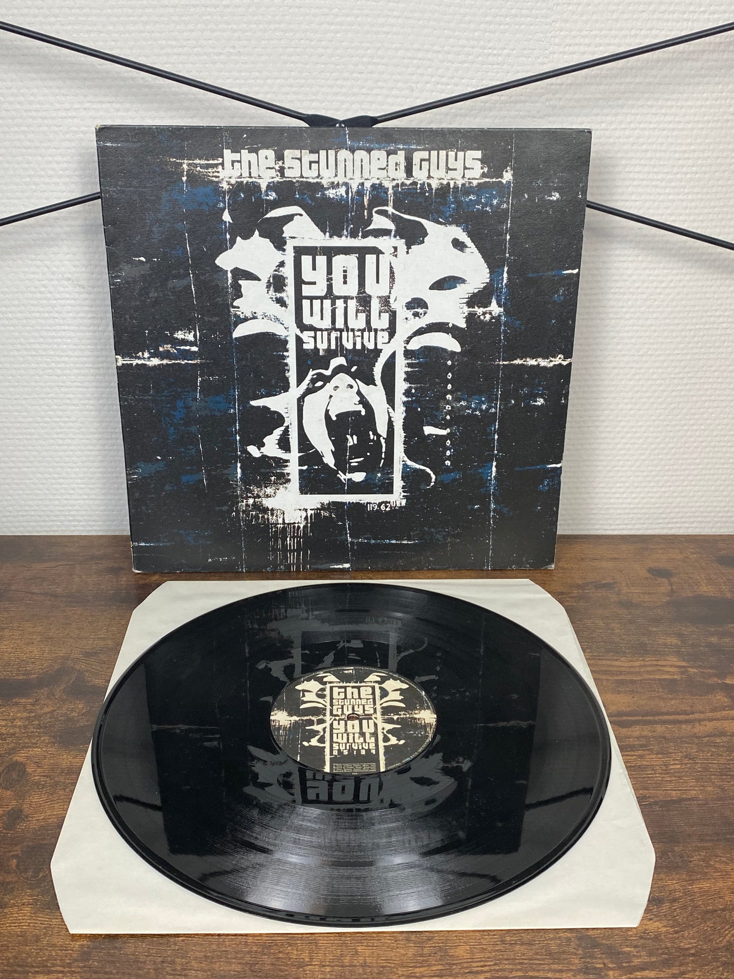 (2005) The Stunned Guys – You Will Survive (Vinyl)