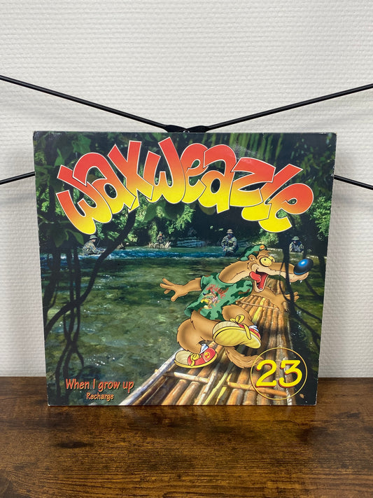 Recharge – When I Grow Up (Vinyl)