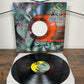 (1995) Highlander – Hold Me Now (Vinyl)