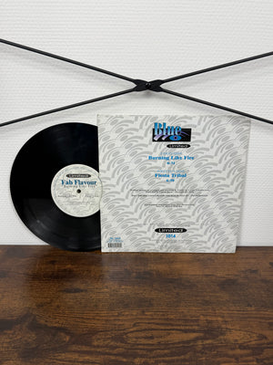 (2000) Fab Flavour – Burning Like Fire (Vinyl)