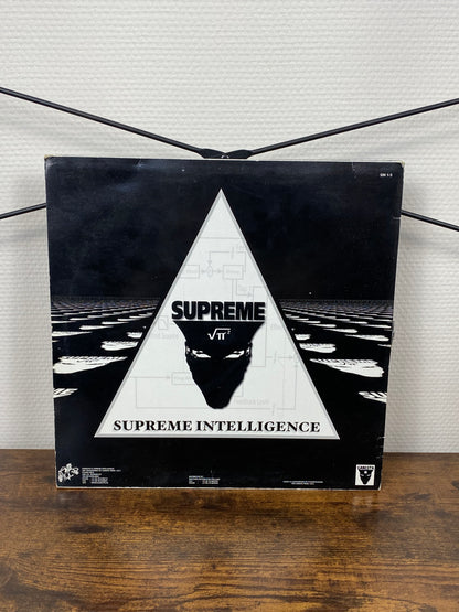 D'Spyre – The Tower Of Wisdom... (Vinyl)