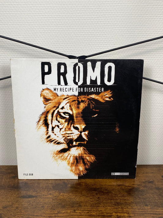 (008) Promo – My Recipe For Disaster (Vinyl)