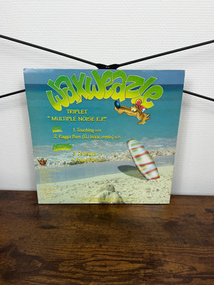 (1996) Triplet – Multiple Noise E.P. (Vinyl)