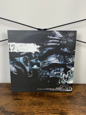 Darkvizion – Rize (Vinyl)