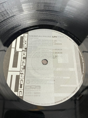 (2003) Mescalinum United – We Have Arrived 2003 (Remixes) - (Vinyl, Hardcore, Techno, Industrial)