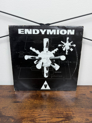 (1998) Endymion – Recumbent DNA String Exponent (Vinyl, Hardcore)
