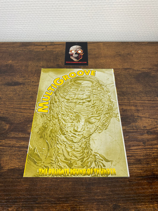 Multigroove Delicate sound of Thunder (1993) - Booklet/Flyer