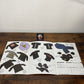 D-Boy Merchandise - Booklet - Flyer