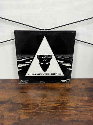 (1998) D'Spyre – The Tower Of Wisdom... (Vinyl)